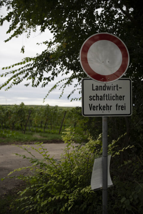 7Artisans 35mm 1.8 AF Test - Review des neuen Weitwinkelobjektivs 64