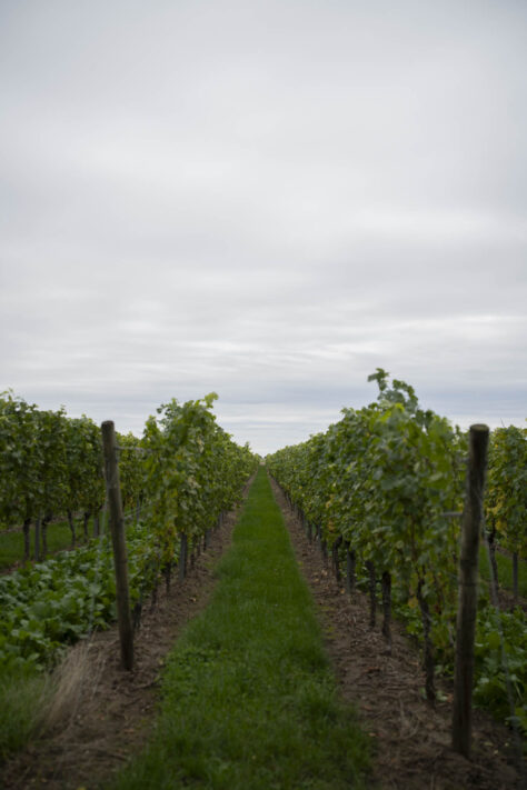 7Artisans 35mm 1.8 AF Test - Review des neuen Weitwinkelobjektivs 65