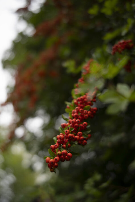 7Artisans 35mm 1.8 AF Test - Review des neuen Weitwinkelobjektivs 67