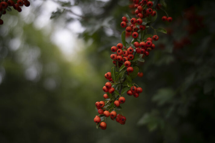 7Artisans 35mm 1.8 AF Test - Review des neuen Weitwinkelobjektivs - 7artisans 35mm 1 4 af testbilder 16 7Artisans 35mm 1.8 AF Test - Review des neuen Weitwinkelobjektivs - 7artisans 35mm 1 4 af testbilder 16