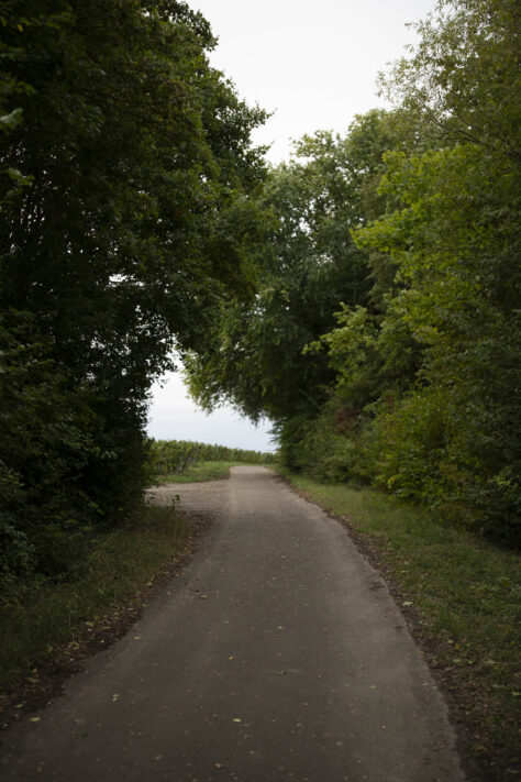 7Artisans 35mm 1.8 AF Test - Review des neuen Weitwinkelobjektivs 69