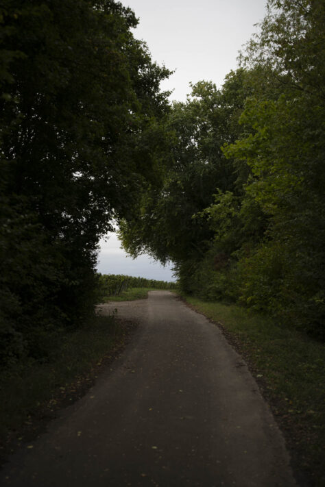 7Artisans 35mm 1.8 AF Test - Review des neuen Weitwinkelobjektivs 70