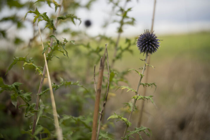 7Artisans 35mm 1.8 AF Test - Review des neuen Weitwinkelobjektivs - 7artisans 35mm 1 4 af testbilder 24 7Artisans 35mm 1.8 AF Test - Review des neuen Weitwinkelobjektivs - 7artisans 35mm 1 4 af testbilder 24