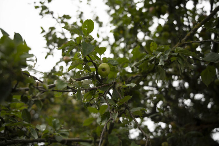 7Artisans 35mm 1.8 AF Test - Review des neuen Weitwinkelobjektivs - 7artisans 35mm 1 4 af testbilder 29 7Artisans 35mm 1.8 AF Test - Review des neuen Weitwinkelobjektivs - 7artisans 35mm 1 4 af testbilder 29