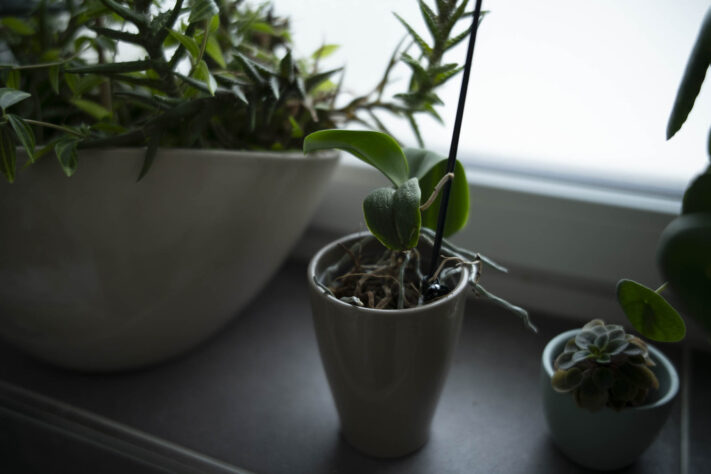 7Artisans 35mm 1.8 AF Test - Review des neuen Weitwinkelobjektivs - 7artisans 35mm 1 4 af testbilder 3 7Artisans 35mm 1.8 AF Test - Review des neuen Weitwinkelobjektivs - 7artisans 35mm 1 4 af testbilder 3