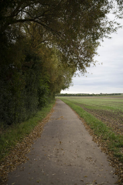 7Artisans 35mm 1.8 AF Test - Review des neuen Weitwinkelobjektivs 83