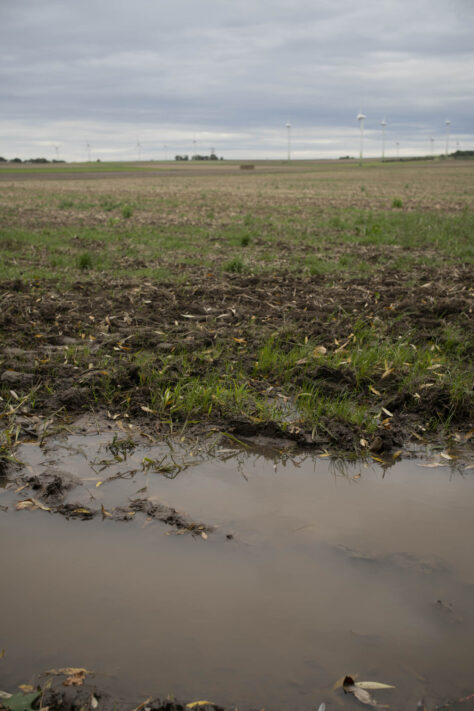 7Artisans 35mm 1.8 AF Test - Review des neuen Weitwinkelobjektivs 84