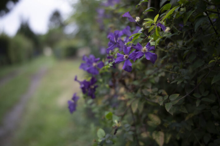 7Artisans 35mm 1.8 AF Test - Review des neuen Weitwinkelobjektivs - 7artisans 35mm 1 4 af testbilder 4 7Artisans 35mm 1.8 AF Test - Review des neuen Weitwinkelobjektivs - 7artisans 35mm 1 4 af testbilder 4