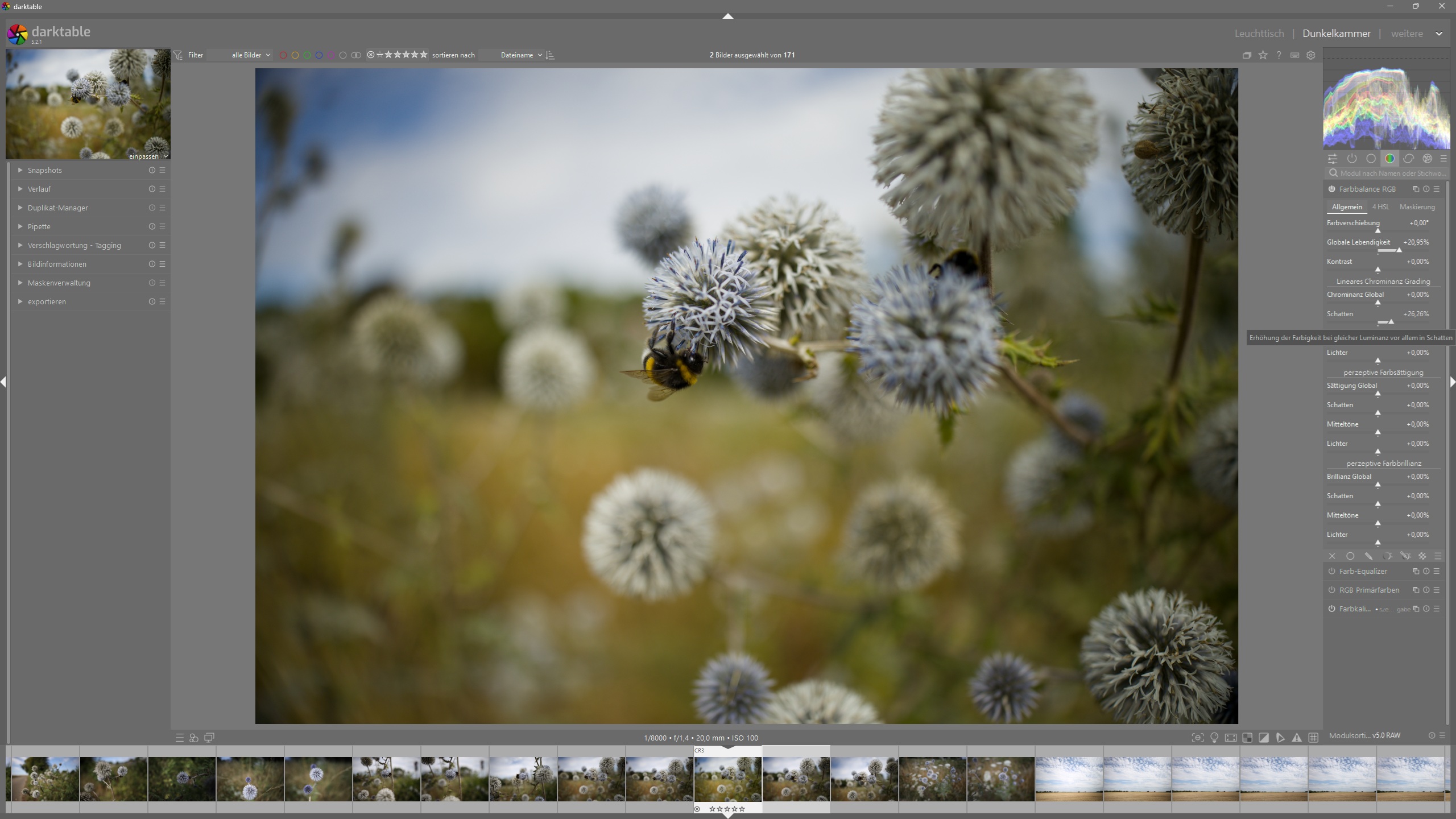 Die besten Lightroom Alternativen für Fotografen und Kreative in 2025 - darktable