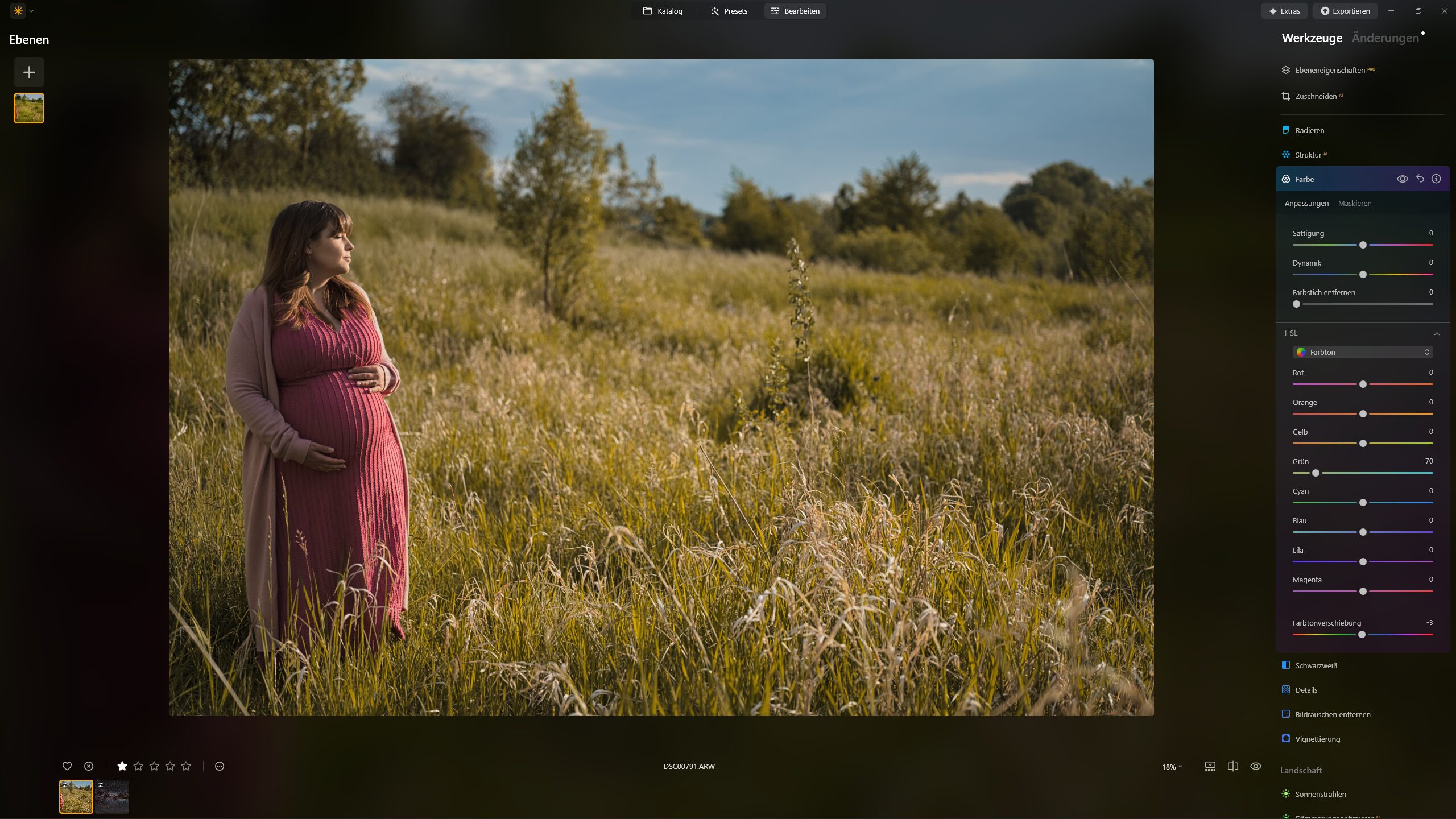 Die besten Lightroom Alternativen für Fotografen und Kreative in 2025 - luminar neo bearbeitung
