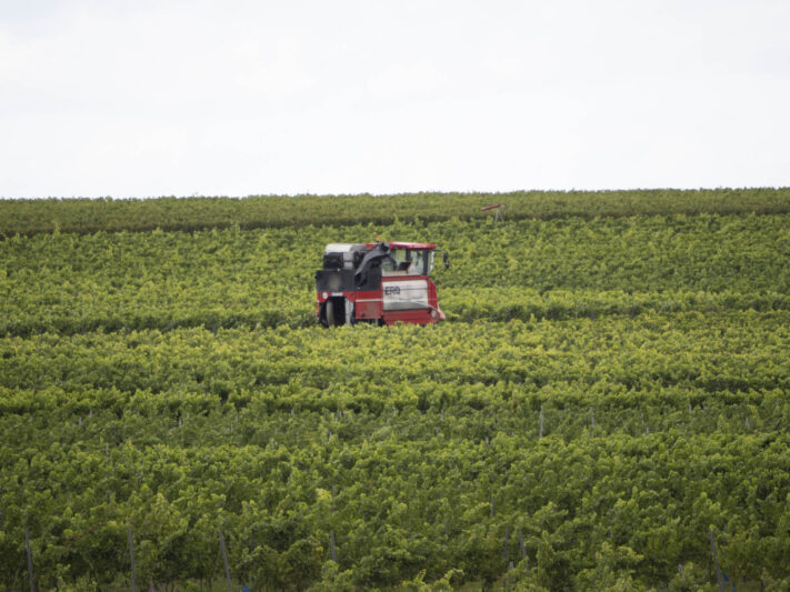 OM System OM-1 Mark II Test - Mein Erfahrungsbericht - om system om 1 mark ii test 60 OM System OM-1 Mark II Test - Mein Erfahrungsbericht - om system om 1 mark ii test 60