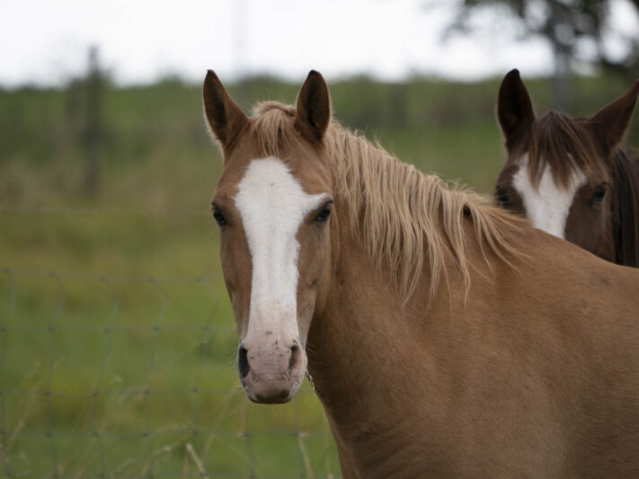 OM System OM-1 Mark II Test - Mein Erfahrungsbericht - om system om 1 mark ii test 61 OM System OM-1 Mark II Test - Mein Erfahrungsbericht - om system om 1 mark ii test 61