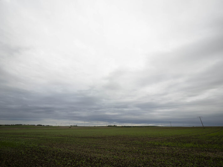 OM System OM-1 Mark II Test - Mein Erfahrungsbericht - om system om 1 mark ii test 68 OM System OM-1 Mark II Test - Mein Erfahrungsbericht - om system om 1 mark ii test 68