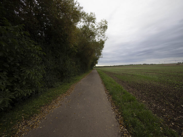 OM System OM-1 Mark II Test - Mein Erfahrungsbericht - om system om 1 mark ii test 69 OM System OM-1 Mark II Test - Mein Erfahrungsbericht - om system om 1 mark ii test 69