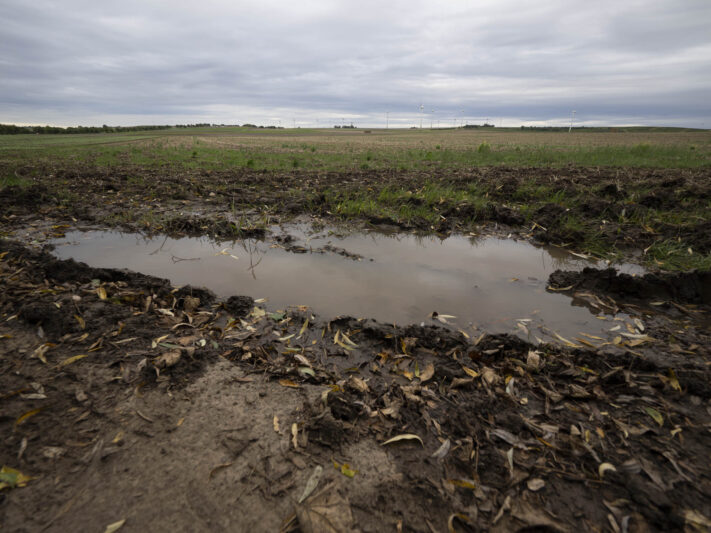 OM System OM-1 Mark II Test - Mein Erfahrungsbericht - om system om 1 mark ii test 70 OM System OM-1 Mark II Test - Mein Erfahrungsbericht - om system om 1 mark ii test 70