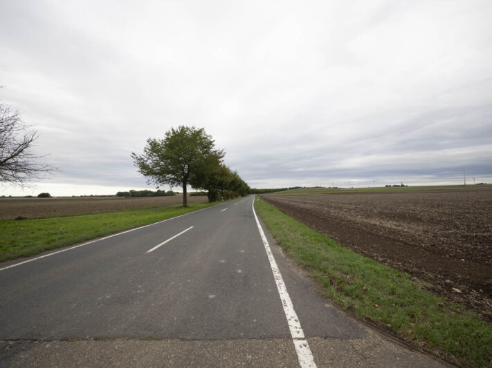 OM System OM-1 Mark II Test - Mein Erfahrungsbericht - om system om 1 mark ii test 71 OM System OM-1 Mark II Test - Mein Erfahrungsbericht - om system om 1 mark ii test 71