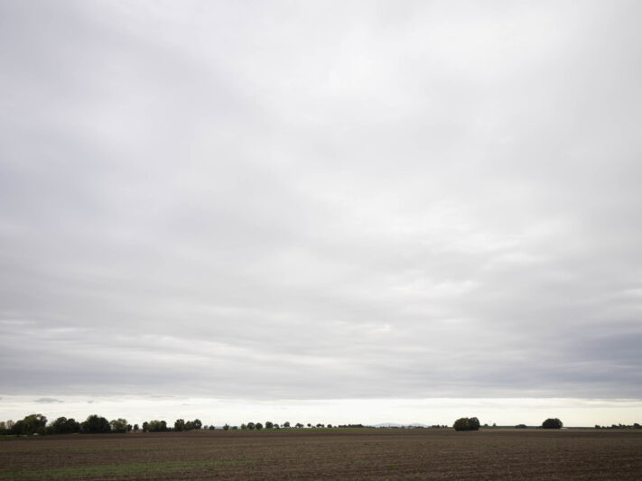 OM System OM-1 Mark II Test - Mein Erfahrungsbericht - om system om 1 mark ii test 72