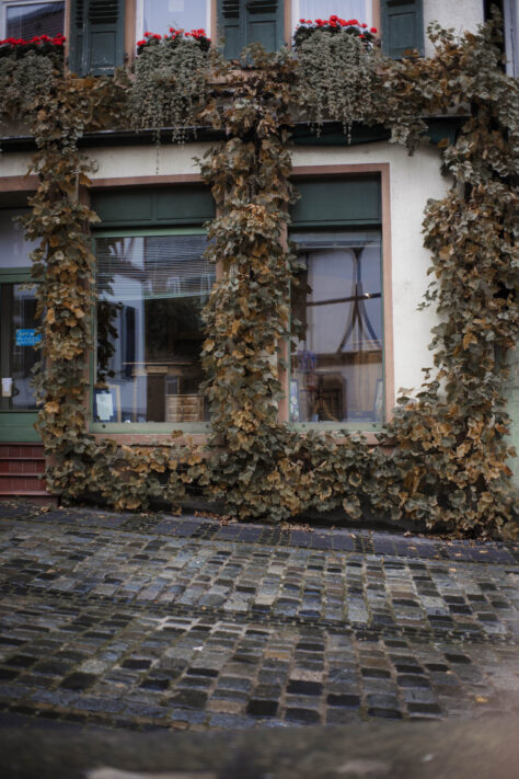 Pergear 35mm 1.4 Test 2025 - Erfahrungsbericht & überraschende Ergebnisse 60