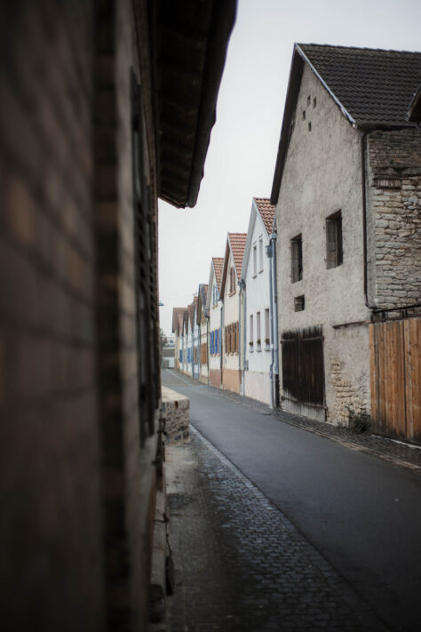 Pergear 35mm 1.4 Test 2025 - Erfahrungsbericht & überraschende Ergebnisse 73