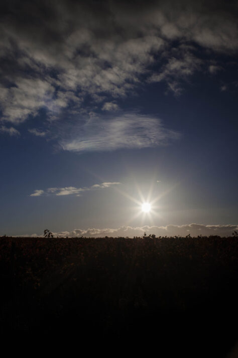 Pergear 35mm 1.4 Test 2025 - Erfahrungsbericht & überraschende Ergebnisse 22