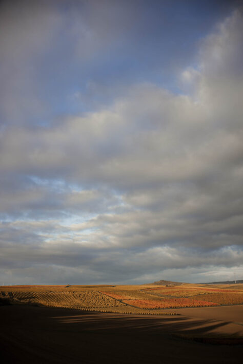 Pergear 35mm 1.4 Test 2025 - Erfahrungsbericht & überraschende Ergebnisse 8