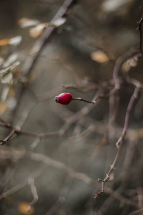 Pergear 35mm 1.4 Test 2025 - Erfahrungsbericht & überraschende Ergebnisse 38