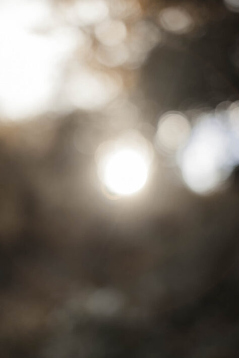 Objektive aus China - gut und echte Alternative oder nicht? 46