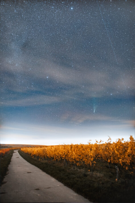 Canon EOS R1 Test & Erfahrungen - High-End Kamera f&uuml;r Profis 192