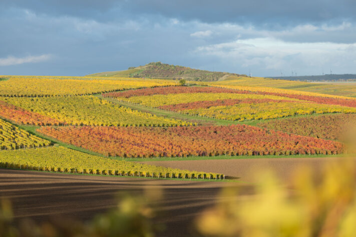 Canon EOS R1 Test - canon eos r1 test 11 Canon EOS R1 Test - canon eos r1 test 11