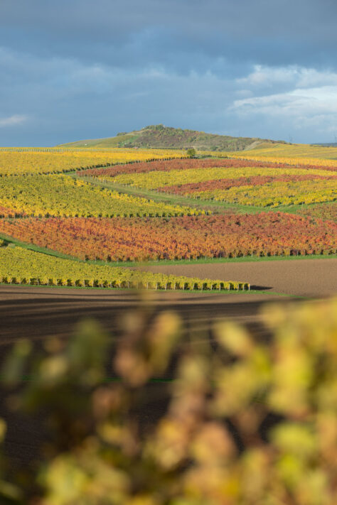 Canon EOS R1 Test & Erfahrungen - High-End Kamera f&uuml;r Profis 164