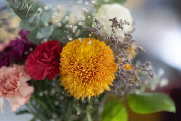 Canon EOS R1 Test - canon eos r1 test 41 Canon EOS R1 Test - canon eos r1 test 41