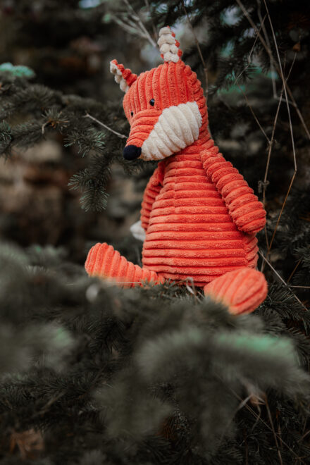 Canon EOS R1 Test & Erfahrungen - High-End Kamera f&uuml;r Profis: Beispielbild Nummer 279