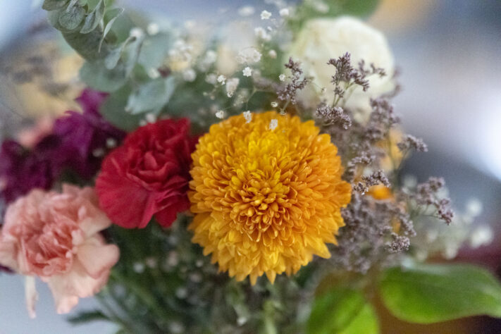 Canon EOS R1 Test - canon eos r1 test 42 Canon EOS R1 Test - canon eos r1 test 42