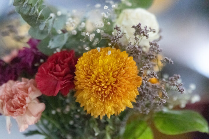 Canon EOS R1 Test - canon eos r1 test 43 Canon EOS R1 Test - canon eos r1 test 43