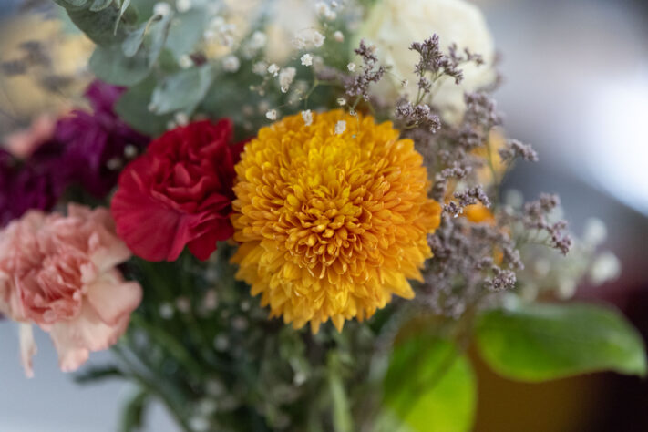 Canon EOS R1 Test - canon eos r1 test 44 Canon EOS R1 Test - canon eos r1 test 44