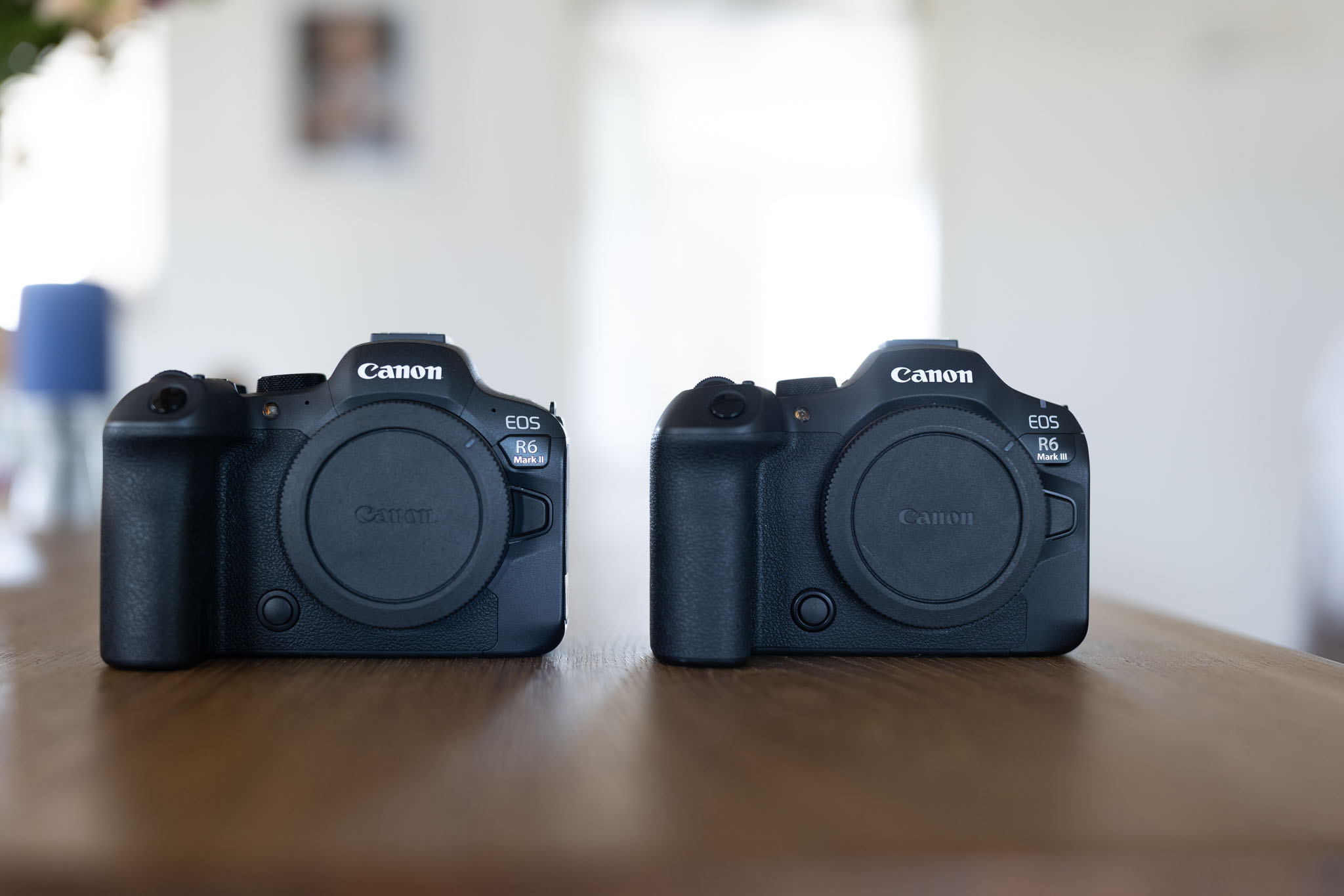 Canon EOS R6 Mark III vs. EOS R6 Mark II - Unterschiede und Gemeinsamkeiten im &Uuml;berblick 3