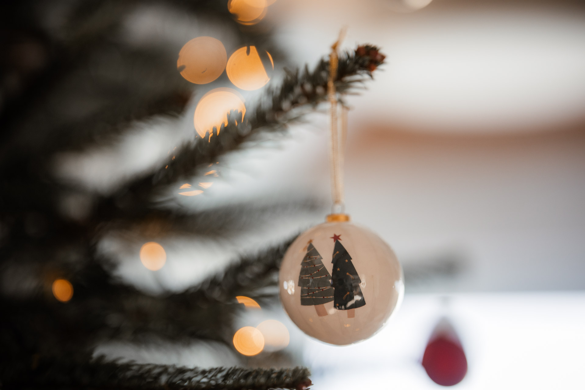 Kamera als Weihnachtsgeschenk - die besten Modelle + Tipps: Beispielbild Nummer 7