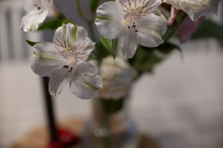 Bild anschauen: 69 Canon RF 45mm 1.2 STM Test - Review des günstigen Lichtriesen: Beispielbild Nummer 68