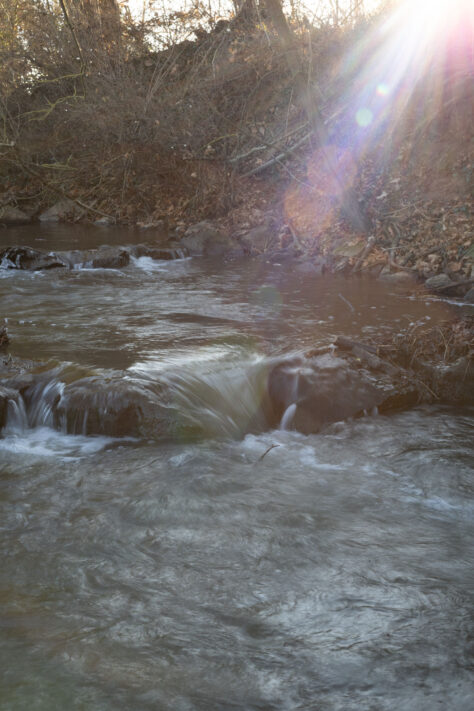 Canon RF 45mm 1.2 STM Test - Review des günstigen Lichtriesen 61