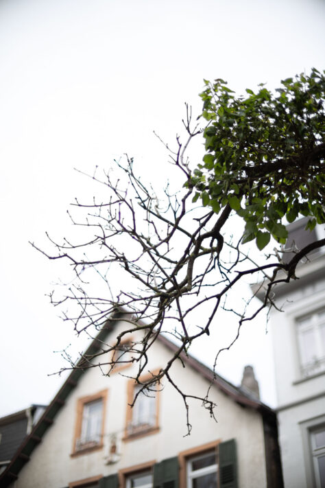 Canon RF 45mm 1.2 STM Test - Review des günstigen Lichtriesen 44