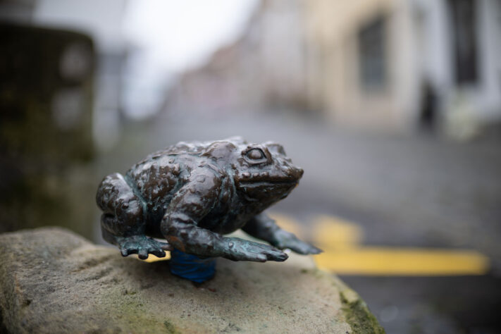 Bild anschauen: 91 Canon RF 45mm 1.2 STM Test - Review des günstigen Lichtriesen: Beispielbild Nummer 90