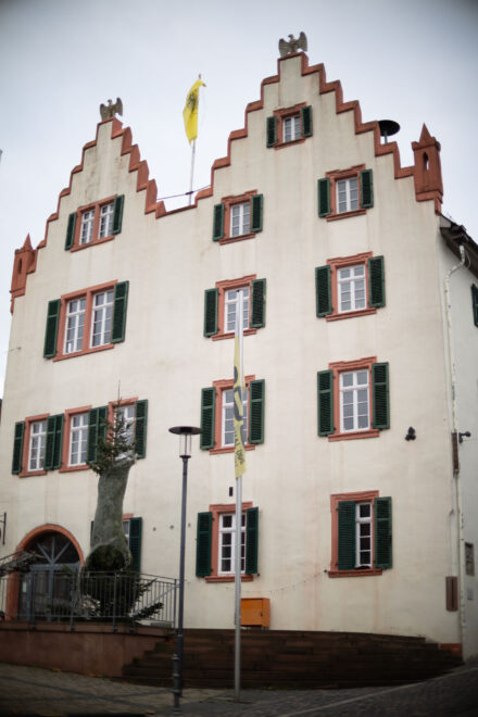 Bild anschauen: 95 Canon RF 45mm 1.2 STM Test - Review des günstigen Lichtriesen: Beispielbild Nummer 94