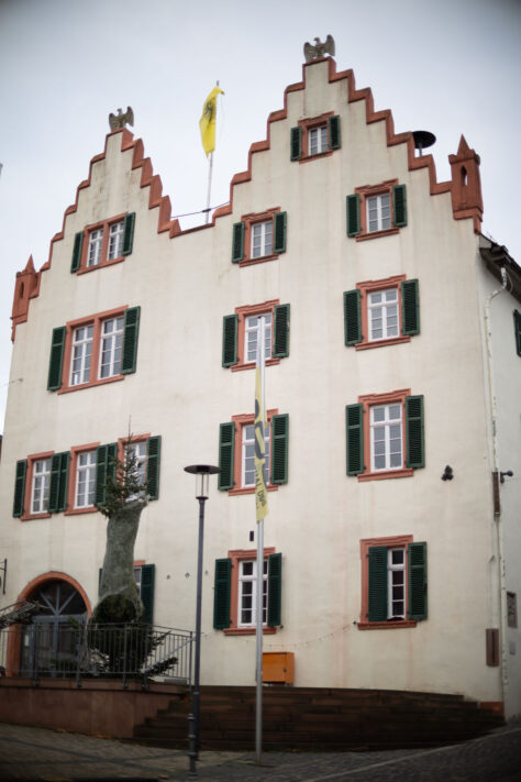 Canon RF 45mm 1.2 STM Test - Review des günstigen Lichtriesen 47