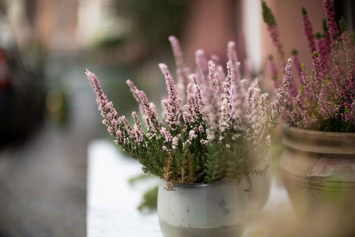 Bild anschauen: 135 Canon RF 45mm 1.2 STM Test - Review des günstigen Lichtriesen: Beispielbild Nummer 134