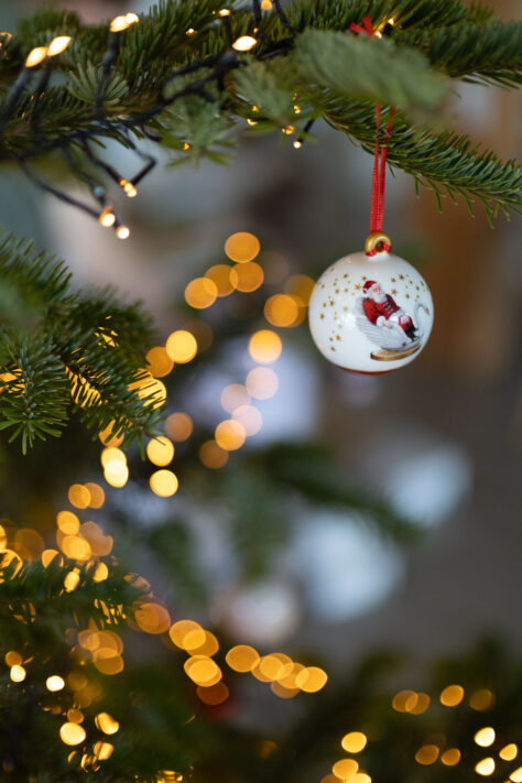 Canon RF 45mm 1.2 STM Test - Review des günstigen Lichtriesen 81