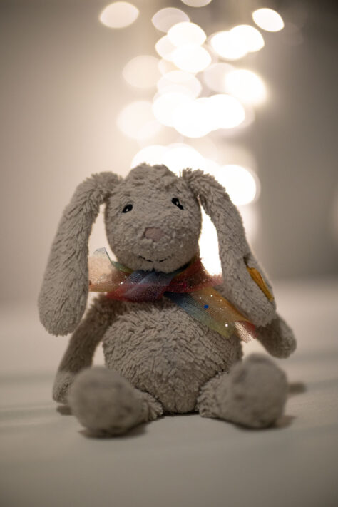 Canon RF 45mm 1.2 STM Test - Review des günstigen Lichtriesen 77