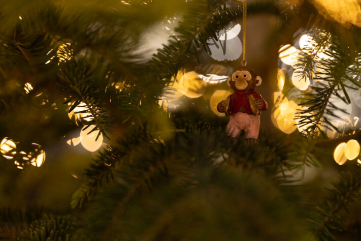 Canon RF 45mm 1.2 STM Test - Review des günstigen Lichtriesen 83