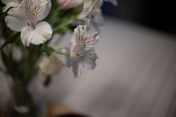 Bild anschauen: 63 Canon RF 45mm 1.2 STM Test - Review des günstigen Lichtriesen: Beispielbild Nummer 62