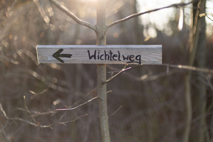 Canon RF 45mm 1.2 STM Test - Review des günstigen Lichtriesen 59