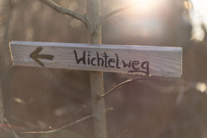 Canon RF 45mm 1.2 STM Test - Review des günstigen Lichtriesen 60